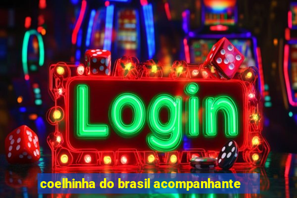 coelhinha do brasil acompanhante